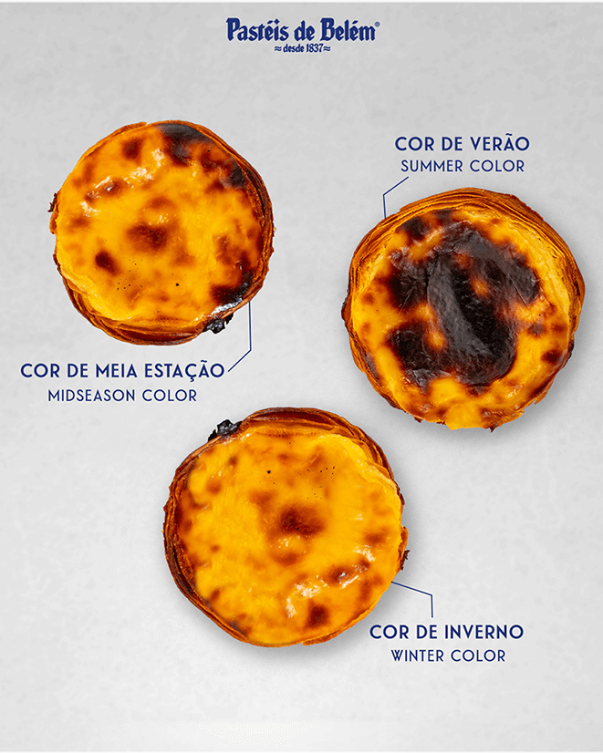 Projeto Redes Sociais e fotografia - Pasteis de Belém