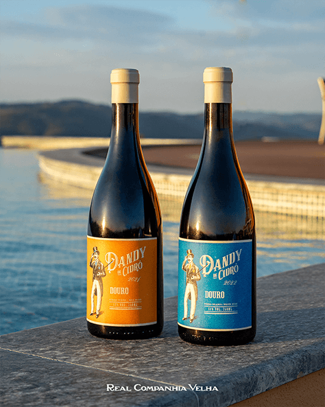 Portfolio, projetos de Fotografia, Design gráfico, Vídeo, Motion e Desenvolvimento de Websites para Real Companhia Velha, Quinta das Carvalhas e Delaforce.